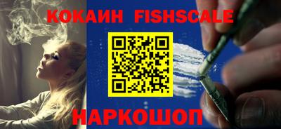мет Кингисепп