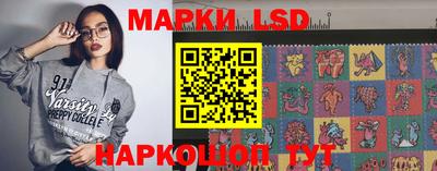 мет Кингисепп