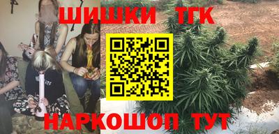 мет Кингисепп