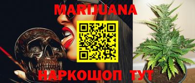 мет Кингисепп
