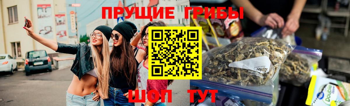 Псилоцибиновые грибы мицелий  Вход с VPN  Киреевск 
